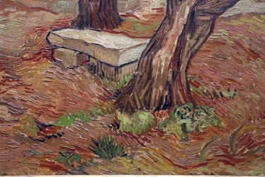 Vincent van gogh, steinbenk i saint rémy -asylet